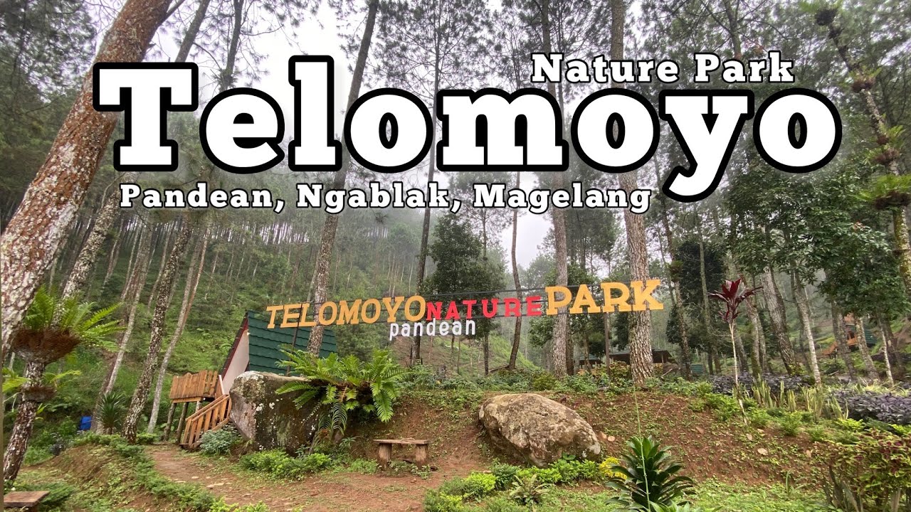 Telomoyo Nature Park: Pesona Alam yang Menawan di Lereng Gunung Merbabu